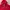 Adidas Streetwear Sportswear Track jacket Pria red photo 1