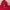 Adidas Streetwear Sportswear Track Jacket Pria Red