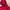 Adidas Streetwear Sportswear Track jacket Pria red photo 3