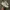Reebok Streetwear Sportswear Sneakers Pria white photo 5