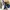 Adidas Sportswear Sneakers Pria blue photo 2