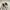 Converse Indie Casual Sneakers Wanita white cream photo 3