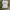 Vintage Y2K T-shirt Pria white photo 1
