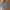 Casual Trench coat Pria green photo 1