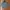 Casual Trench Coat Pria Green