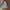 Casual Trench coat Pria green photo 3