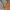 Casual Trench coat Pria green photo 4