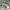 Champion Streetwear Casual Hoody Pria gray photo 4