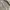 Vintage Y2K Casual shirt Pria tan photo 2