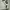Nike Streetwear Casual Sneakers Pria white black photo 1