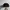 MLB Luxury Hat Pria black photo 3