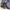Vintage Lolita Evening dress Wanita navy photo 6