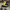 Casual Hat Pria black yellow photo 2