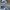 New Balance Sportswear Sneakers Wanita navy photo 1