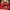 Vintage Y2K Hat Pria red photo 2