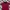Polo Ralph Lauren Streetwear Polo Shirt Pria Red