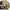 Jill Stuart Streetwear Casual Hat Pria multicolor photo 2