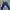 Wrangler Casual Jeans Pria multicolor photo 3