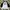 VANS Vintage Streetwear Formal shirt Pria white photo 1