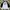 VANS Vintage Streetwear Formal Shirt Pria White