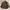 Polo Ralph Lauren Vintage Sportswear Windbreaker Pria Brown