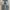 Vintage Y2K Jeans Pria cream blue photo 2