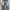 Vintage Y2K Jeans Pria Cream Blue