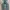 Vintage Y2K Jeans Pria cream blue photo 3