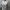 Casual Sweatshirt Wanita white photo 3