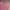 COLORBOX Y2K Mini skirt Wanita purple photo 2