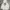 Uniqlo Casual Hoody Pria white black photo 1