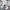 Streetwear Minimalist Sweatshirt Wanita white photo 3