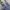 OshKosh Vintage Avant Garde Pria navy photo 8