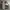 Nike ACG Gorpcore Sportswear Puffer jacket Pria multicolor photo 4