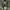 Nike ACG Gorpcore Sportswear Puffer jacket Pria multicolor photo 3