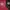Esprit Sportswear Sweatpants & Joggers Wanita red black photo 4