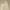 Y2K Casual Casual pants Pria cream photo 8