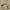 Y2K Casual Casual pants Pria cream photo 6