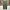 Uniqlo Streetwear Casual Casual pants Pria green photo 2