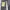 Dickies Streetwear Skater Casual pants Pria gray photo 7