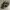 Streetwear Hat Pria multicolor photo 5