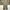 Kenzo Streetwear Casual Casual Pants Pria Tan
