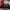 Converse Casual Sneakers Wanita Red Pink