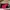 Converse Casual Sneakers Wanita red pink photo 1