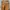 Hush Puppies Casual Backpack Wanita tan brown photo 1
