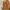 Hush Puppies Casual Backpack Wanita tan brown photo 2