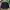 Oakley Vintage Gorpcore Hoody Pria Green Black