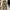 Discus Athletic Streetwear Avant Garde Tracksuit Pria gold photo 5