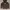 Dickies Casual Hoody Pria brown photo 1