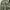 Made in USA Vintage Streetwear Pria green khaki photo 4